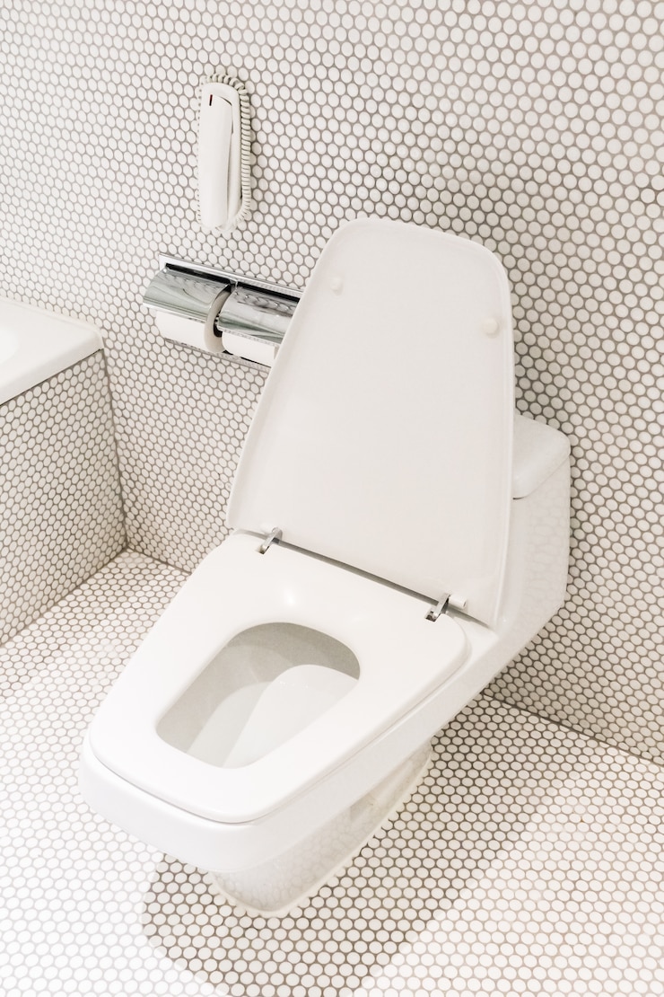 Portable Toilet Rental in Richmond