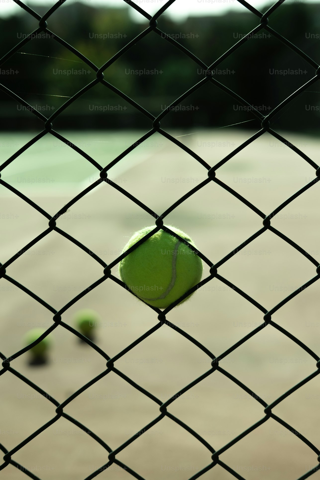 Temporary Fencing West Vancouver