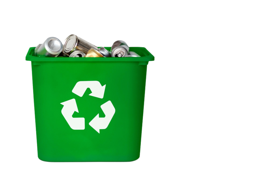 Disposal Bin Service in Tsawwassen