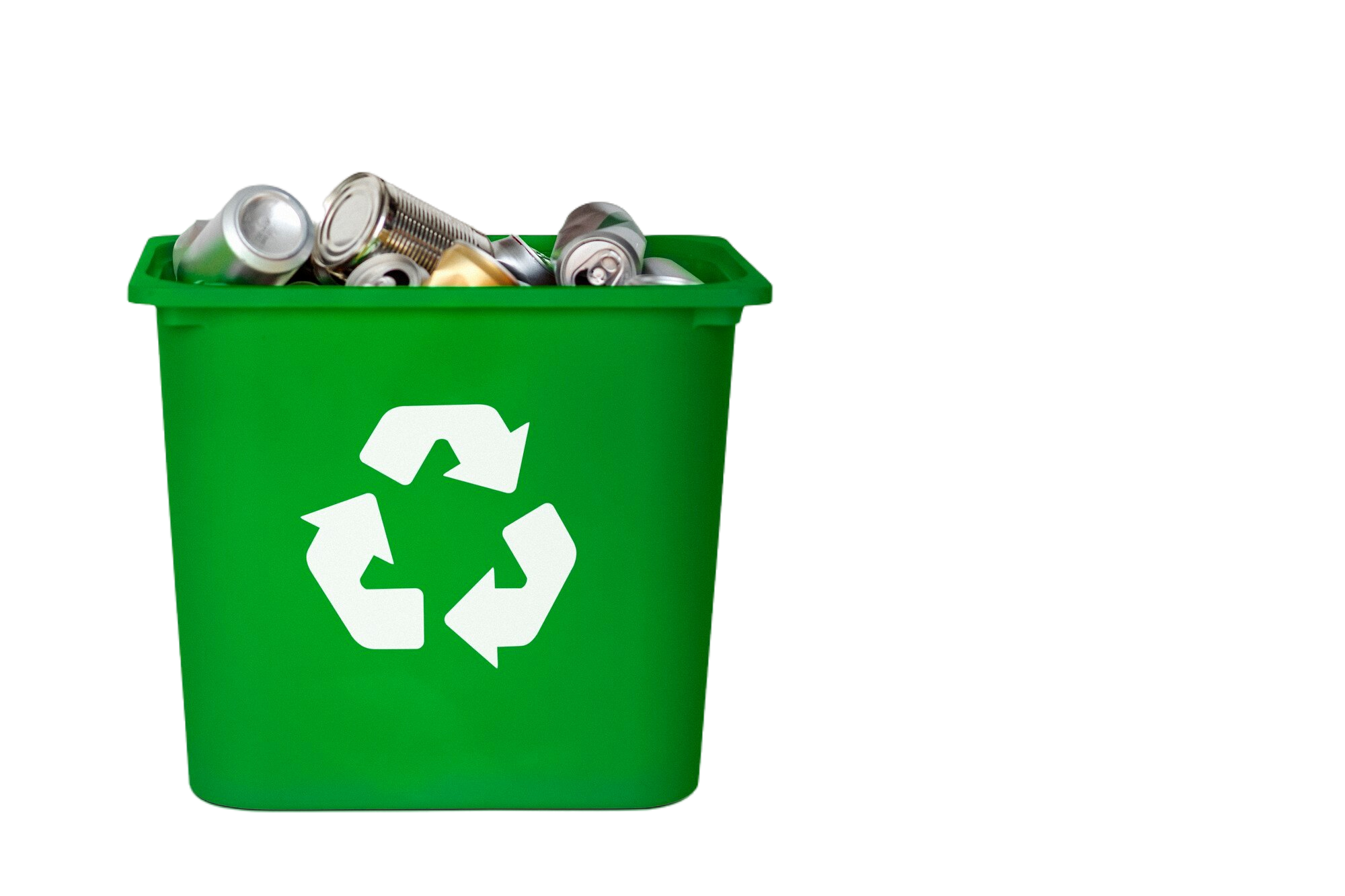 Disposal Bin Service in Tsawwassen