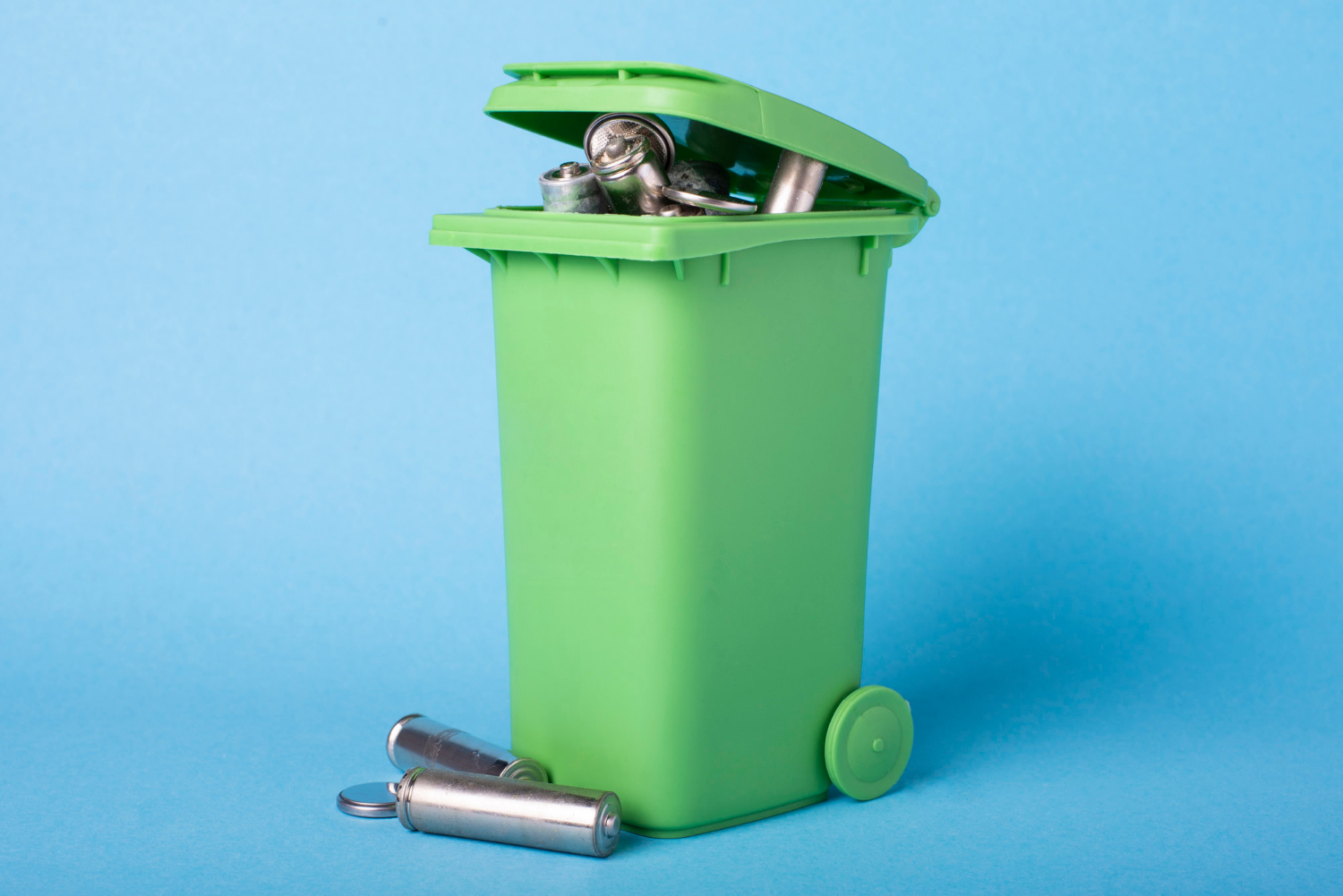 Disposal Bin Service in New Westminster