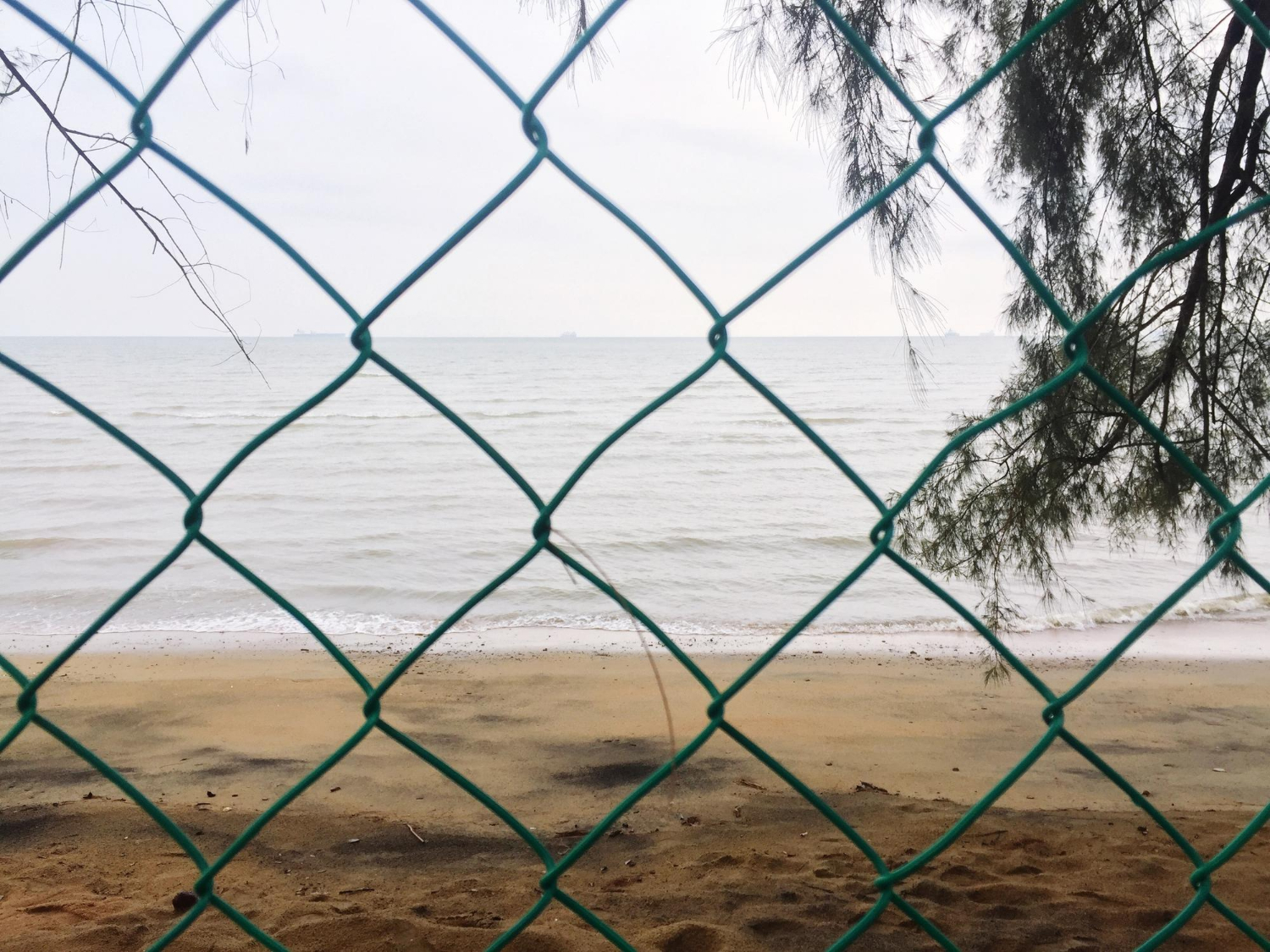 Temporary Fencing in White Rock