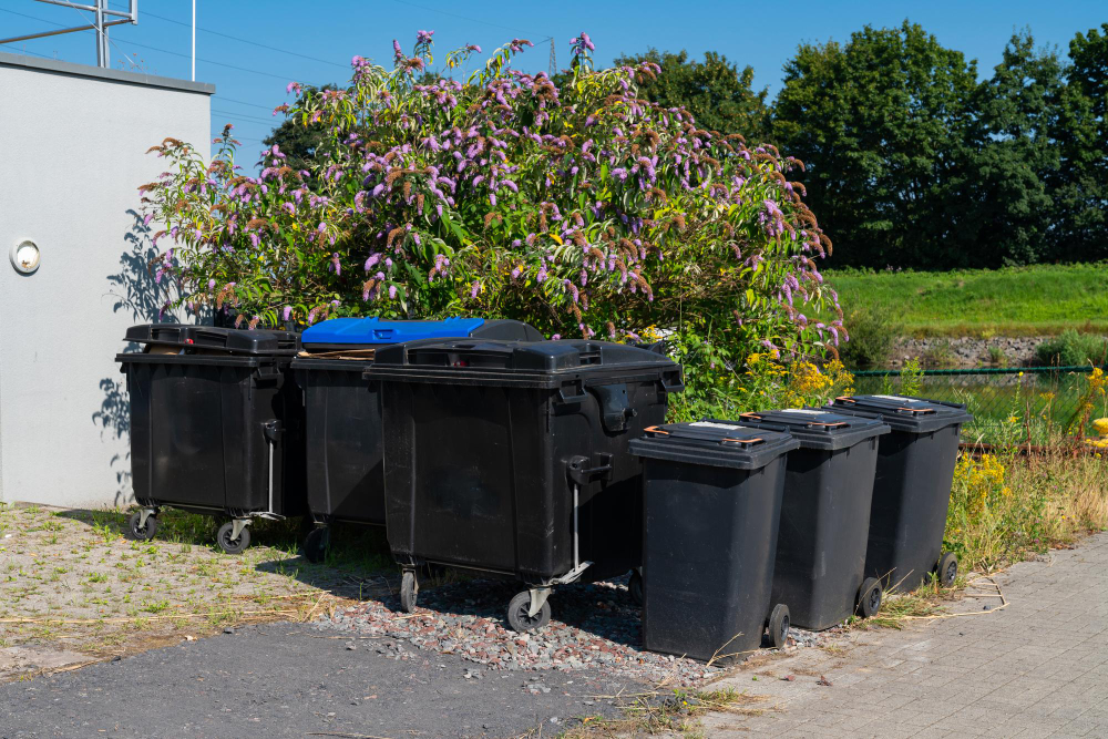 Dos and Don’ts of Discarding Your Waste with Disposal Bin Services in Port Coquitlam