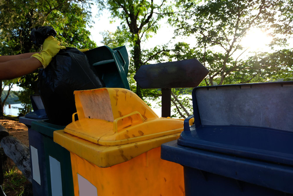 Traditional Waste Management versus Household Junk Disposal Bin Services in Port Coquitlam